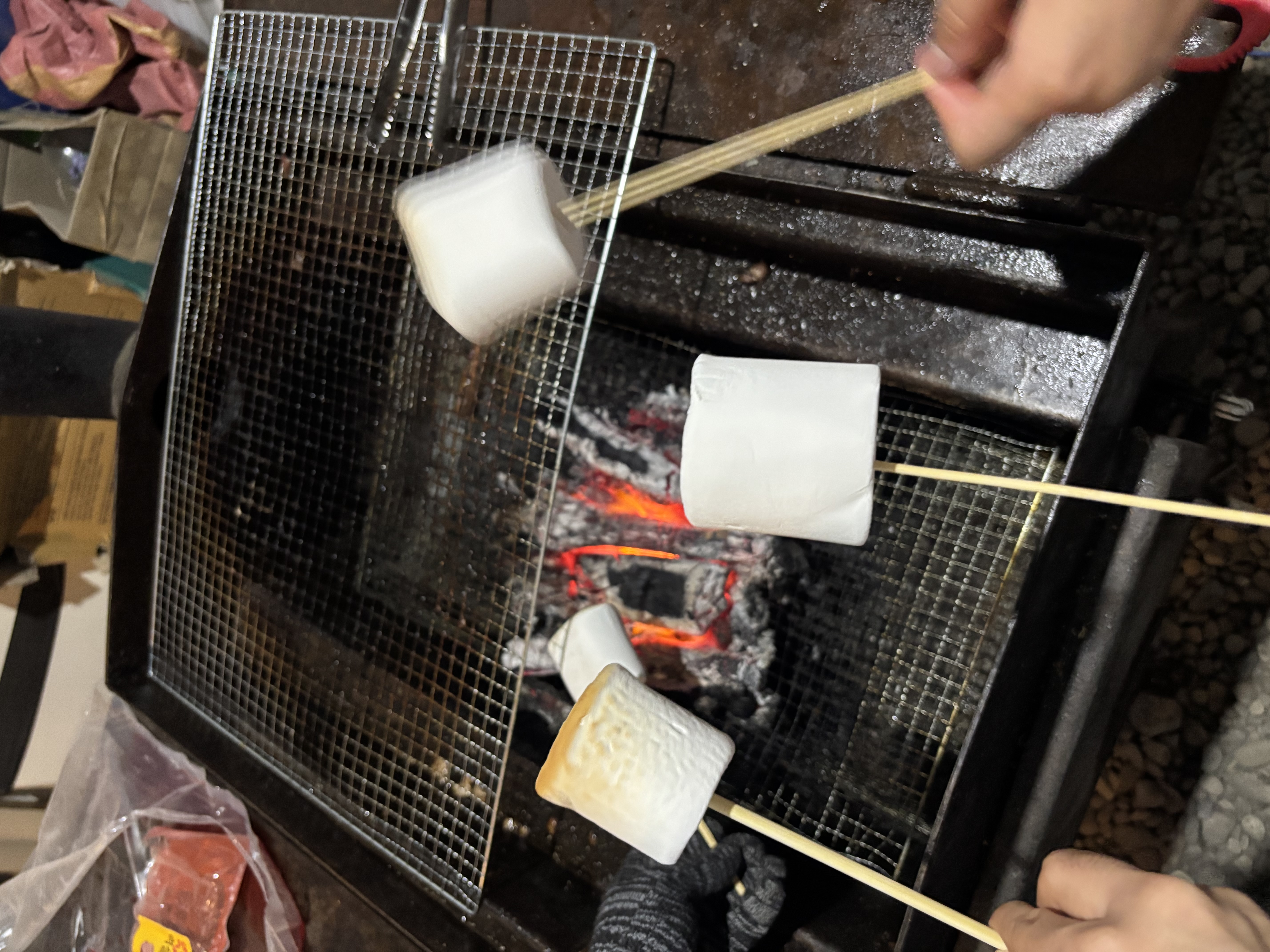 봄 엠티 사진 7