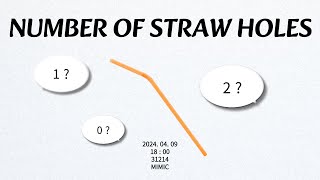 Number of Straw Holes